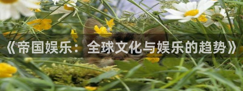 杏鑫娱乐