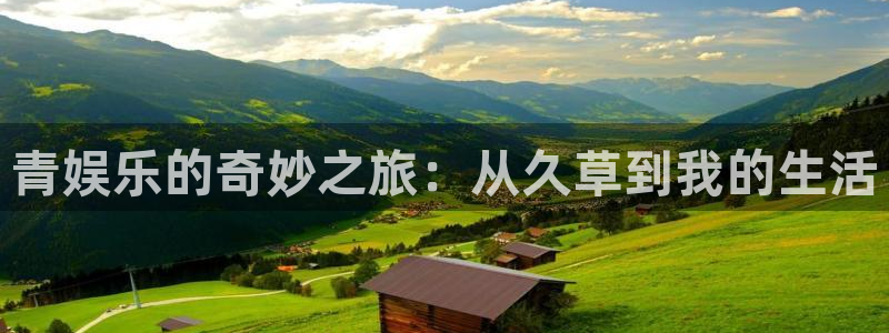 杏鑫娱乐