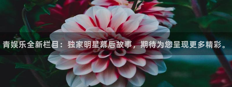 杏鑫娱乐